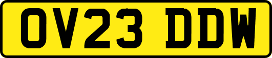 OV23DDW