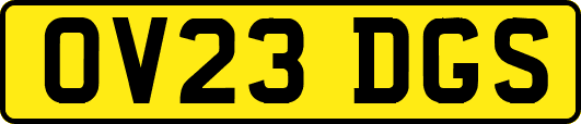 OV23DGS