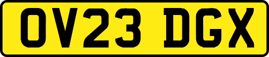 OV23DGX