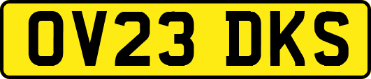 OV23DKS