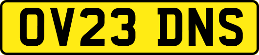 OV23DNS