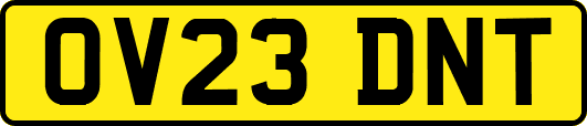 OV23DNT
