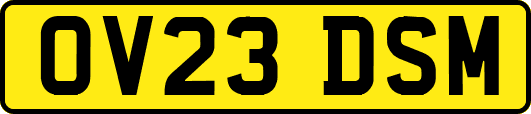OV23DSM