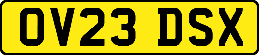 OV23DSX