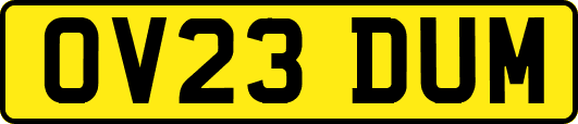 OV23DUM