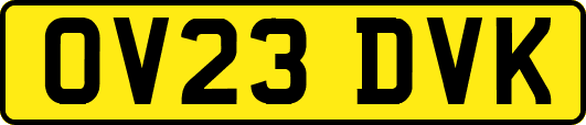 OV23DVK