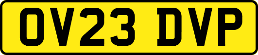 OV23DVP