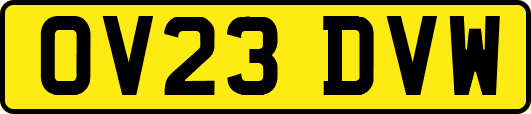 OV23DVW