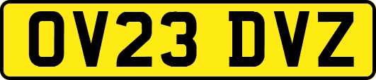 OV23DVZ