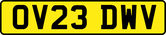 OV23DWV