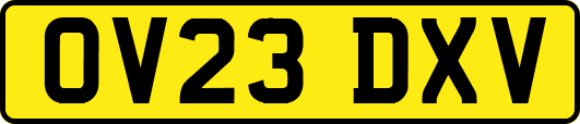 OV23DXV