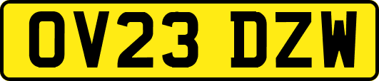 OV23DZW