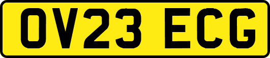 OV23ECG