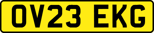 OV23EKG