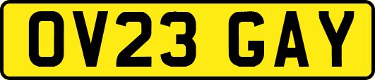 OV23GAY