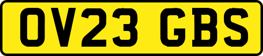OV23GBS