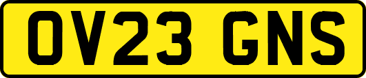 OV23GNS