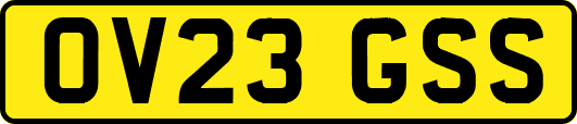OV23GSS