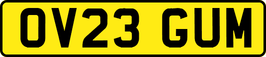 OV23GUM