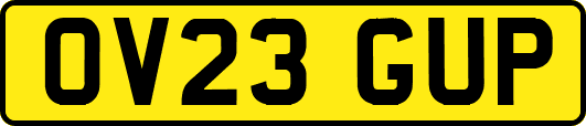OV23GUP