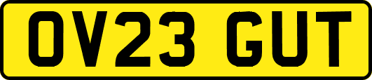 OV23GUT