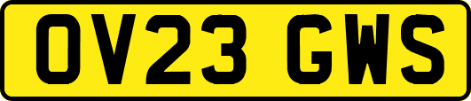 OV23GWS