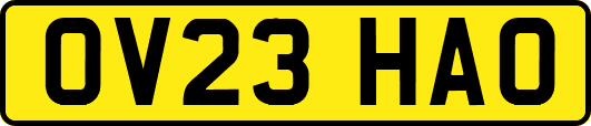 OV23HAO