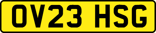 OV23HSG