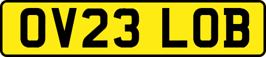 OV23LOB