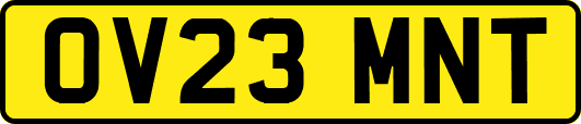 OV23MNT