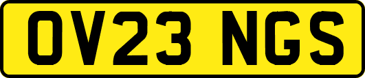 OV23NGS