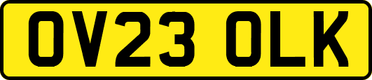 OV23OLK