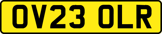 OV23OLR