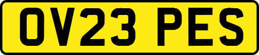 OV23PES