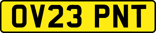 OV23PNT