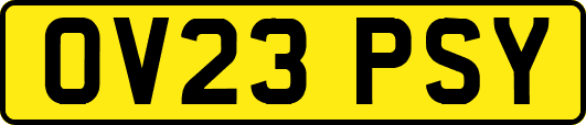 OV23PSY