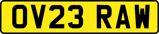 OV23RAW
