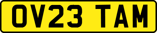 OV23TAM