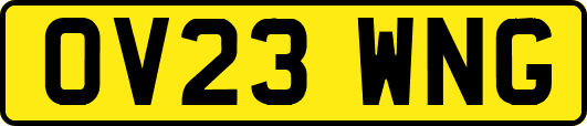 OV23WNG