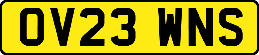 OV23WNS