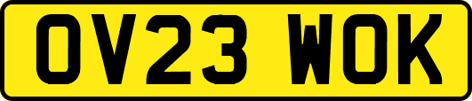 OV23WOK