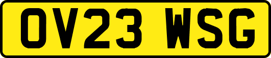 OV23WSG