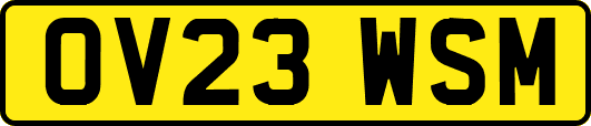 OV23WSM