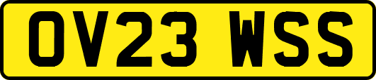 OV23WSS
