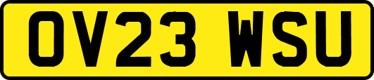 OV23WSU