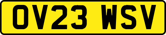 OV23WSV
