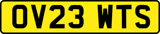 OV23WTS