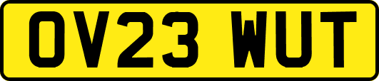 OV23WUT