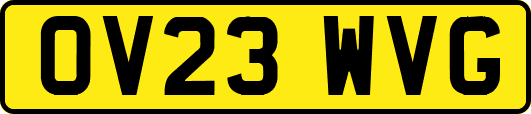 OV23WVG