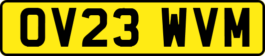 OV23WVM